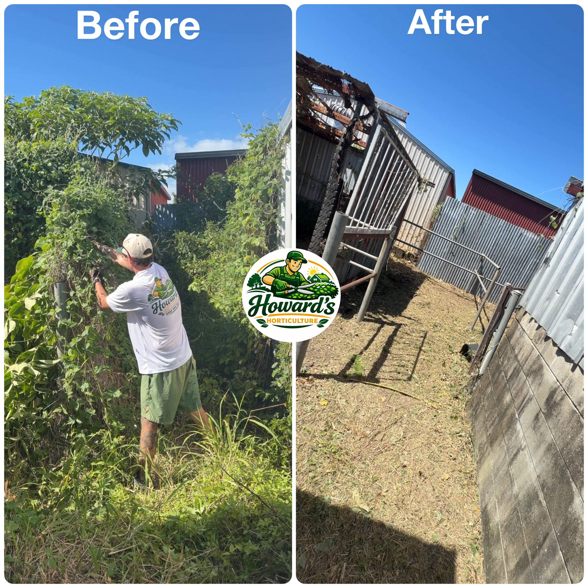 Garden transformation