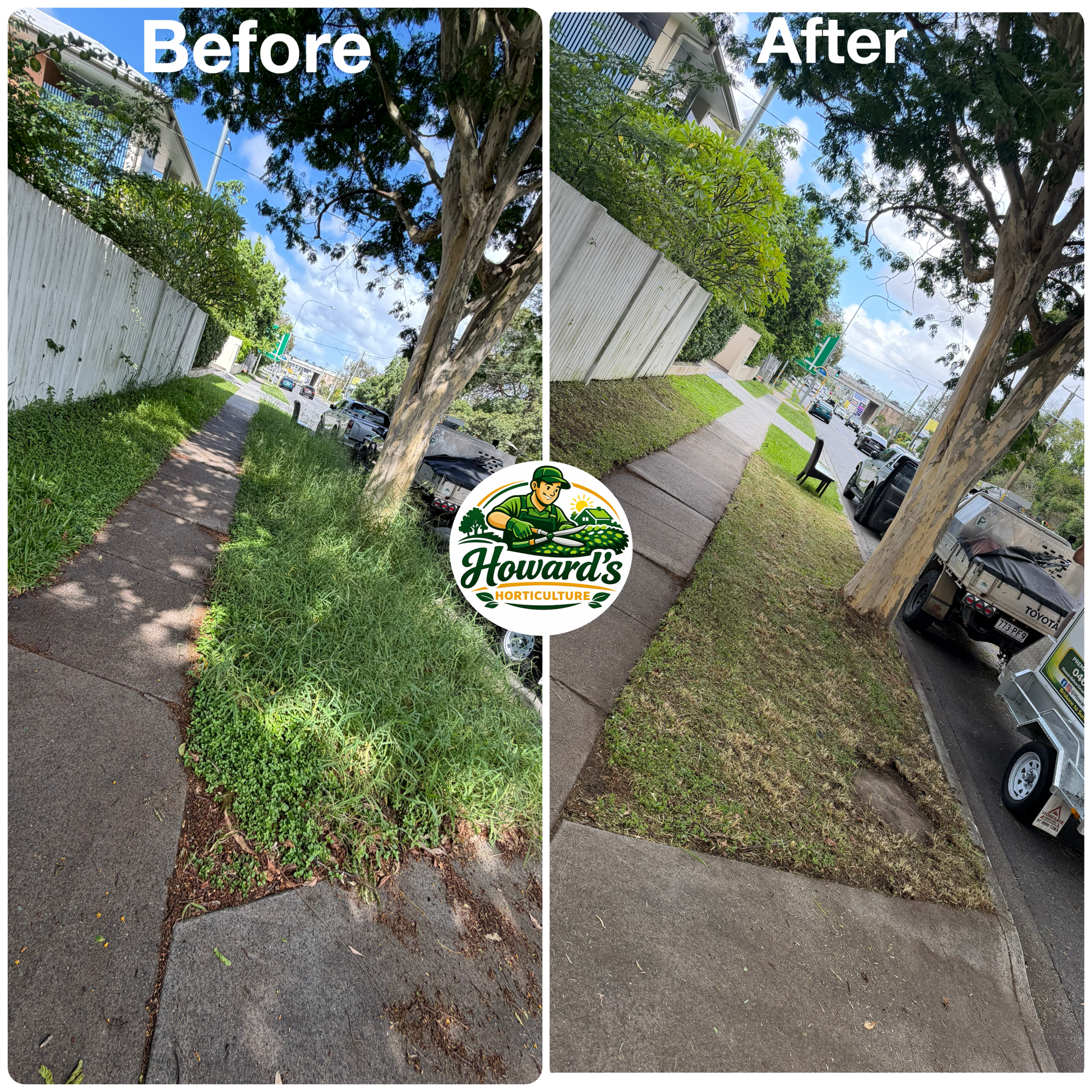 Garden transformation