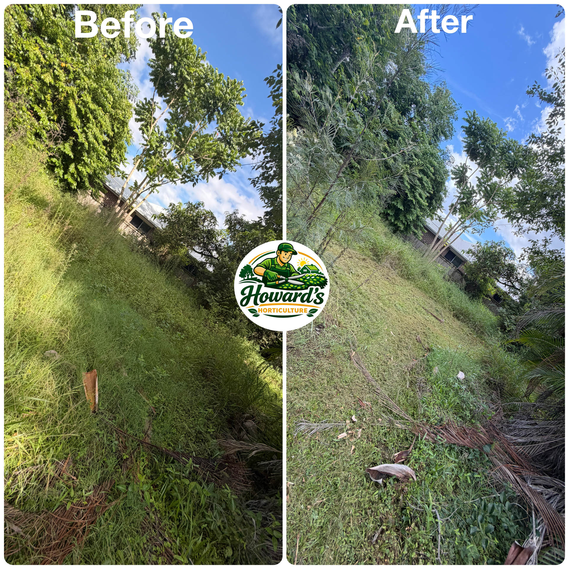 Garden transformation