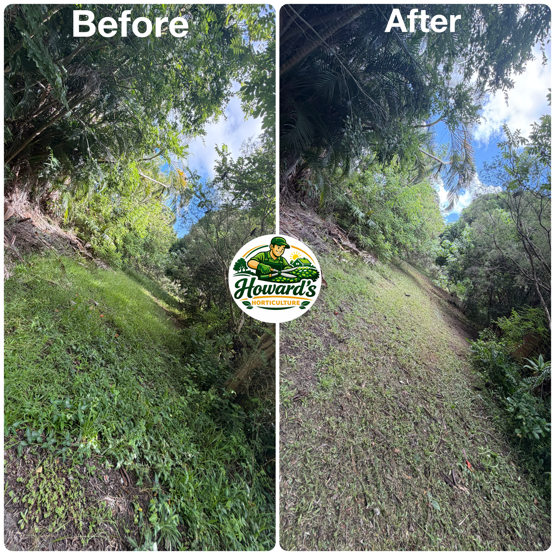 Garden transformation