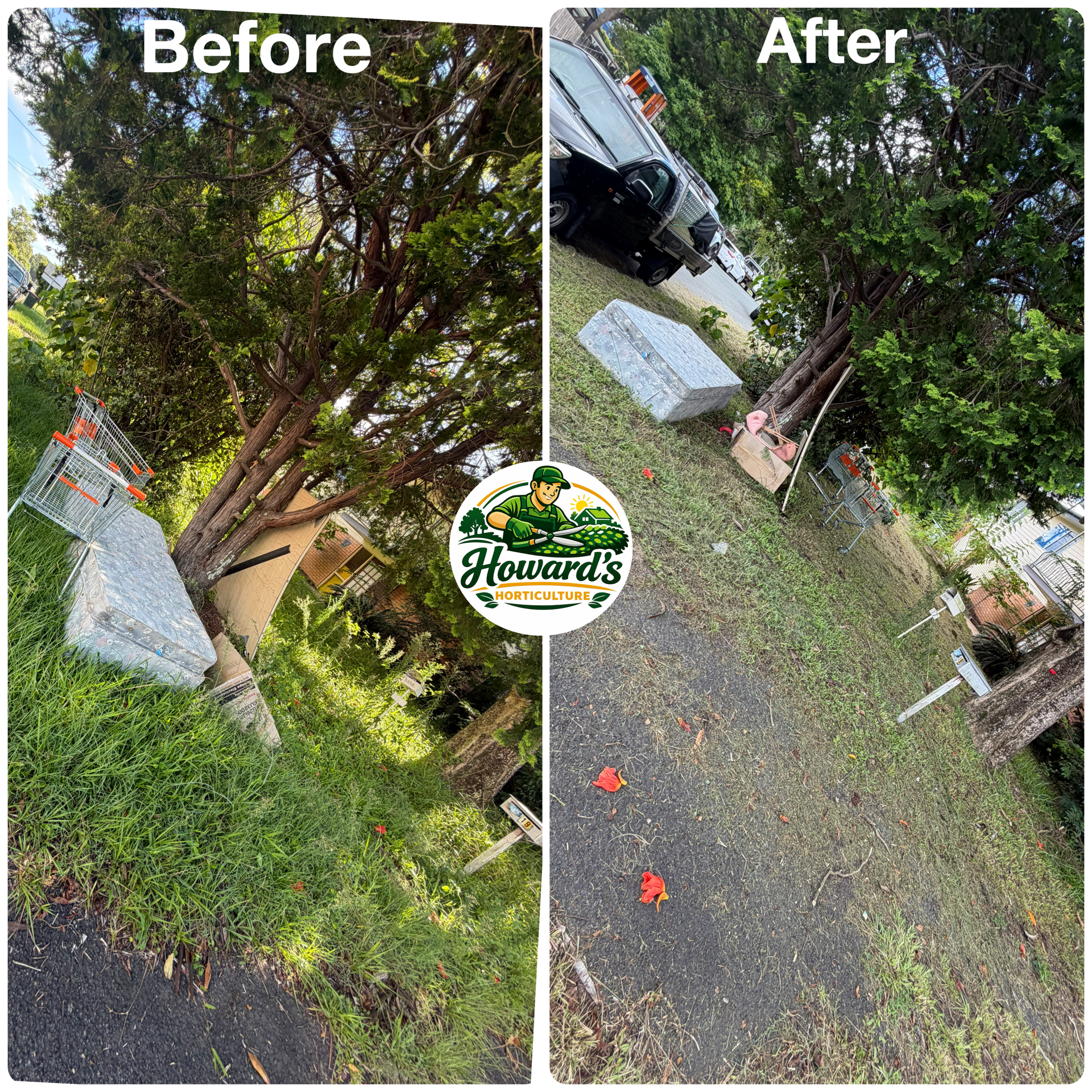 Garden transformation